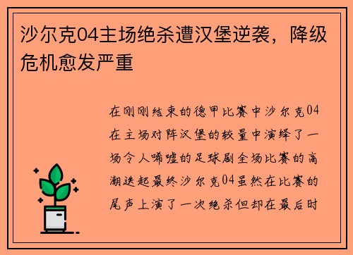 沙尔克04主场绝杀遭汉堡逆袭，降级危机愈发严重